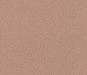 Обои Rasch Textil Sophia 710793